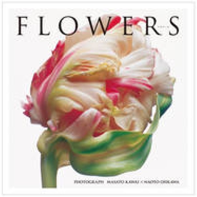 BOOK｜河合正人×大川直人『FLOWERS(フラワーズ）』 ギャラリー