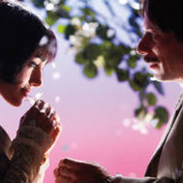 MOVIE｜独特の世界観と映像美で魅せる『チキンとプラム～あるバイオリン弾き、最後の夢～』 ギャラリー