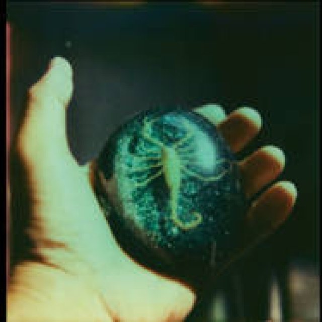 操上和美写真展「私の家の死を彷徨う旅」