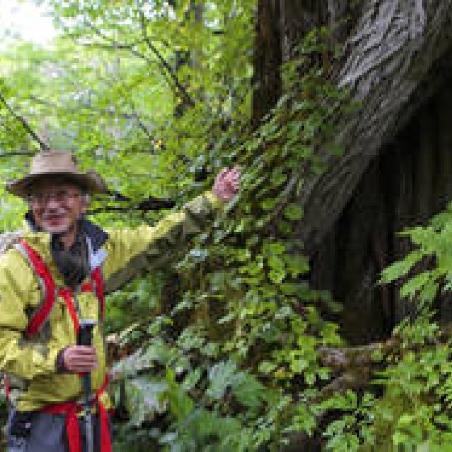 プロフェッショナルと巡る森～岐阜・飛騨地方の自然とアクティビティ～Chapter 2 ギャラリー