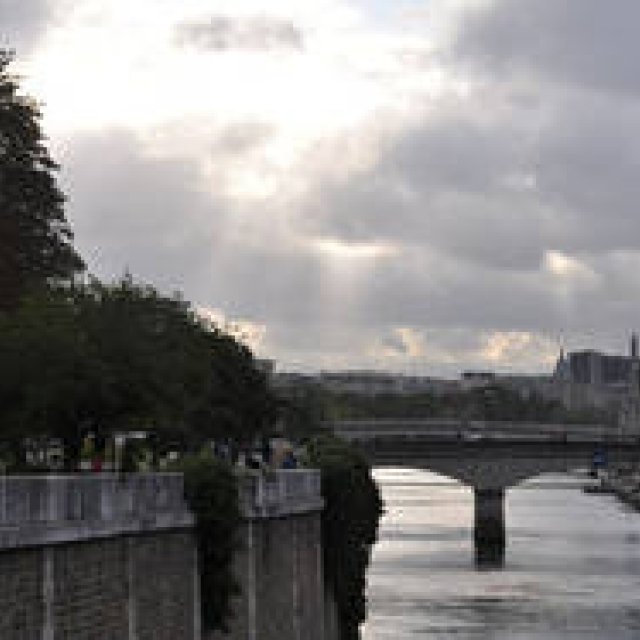 連載・塚田有一│みどりの触知学＜特別編・2012秋 パリ＞　谺する森　声の　登る ギャラリー