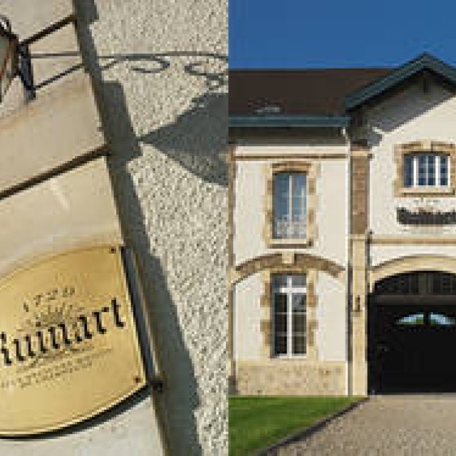 「シャンパーニュの宝石」と賞される世界最古のシャンパーニュ｜Ruinart