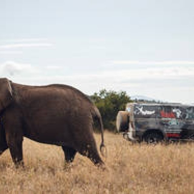 ケニアでフィールドテストする新型ディフェンダーの最新動画を公開｜Land Rover
