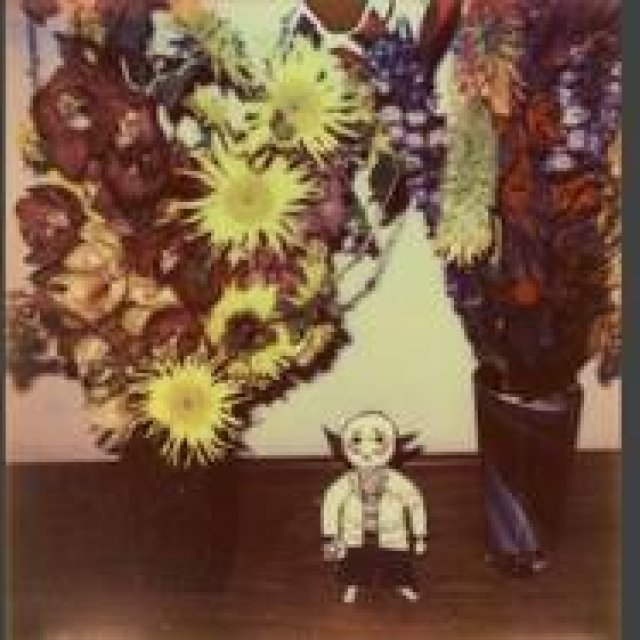 ART│蔦屋書店で荒木経惟展『淫夢』