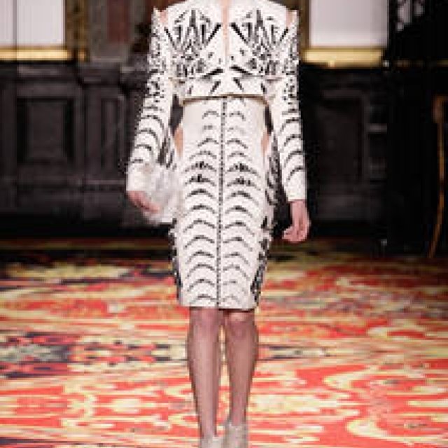 Iris Van Herpen｜2013年春夏オートクチュール コレクション
