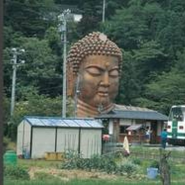 ART│広島現代美術館で開催される『路上と観察をめぐる表現史－考現学以後』展 ギャラリー