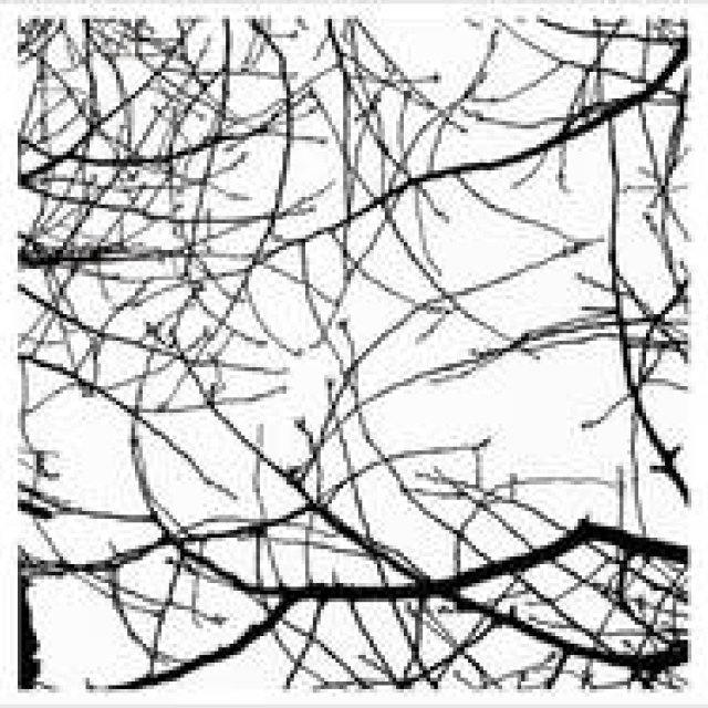 ART｜青山「ギャラリーDAZZLE」にて飯田信雄写真展「夢見草」開催 ギャラリー