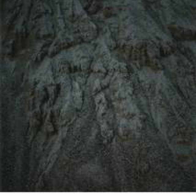 ART｜写真家アンネ・シュヴァルベの日本での初個展『アレス』 ギャラリー