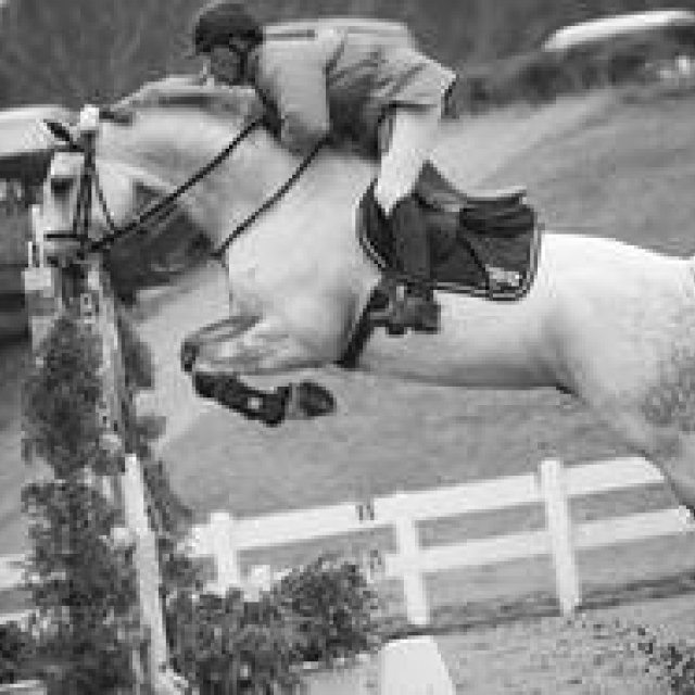 NEWS｜リバースプロジェクトが間伐材を使った飛越馬術の“障害物”を制作 ギャラリー