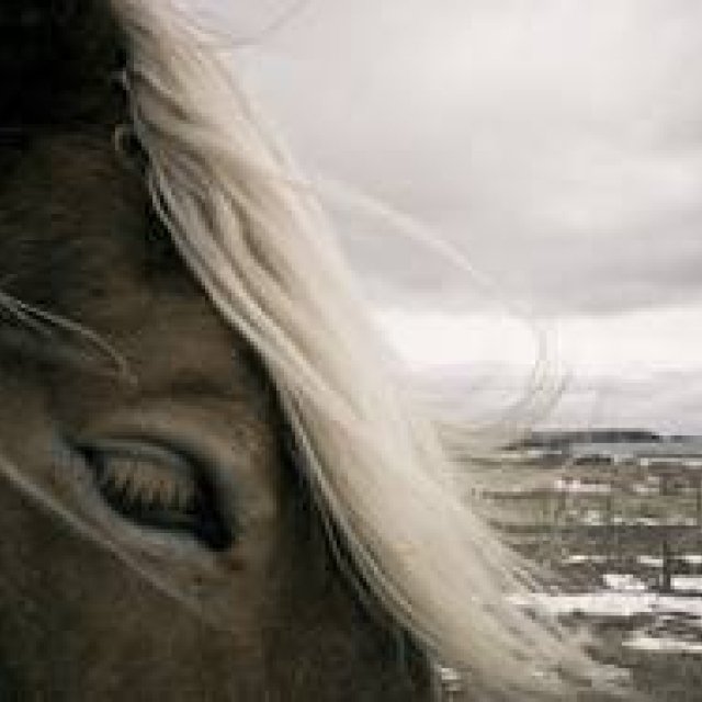 ART｜北海道の風景を撮影した『TAKEO YAMADA│PARADISELOST』 ギャラリー