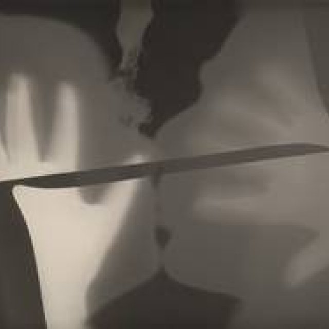 ART FILE 15｜「The Shaping of New Visions: Photography, Film, Photobook」