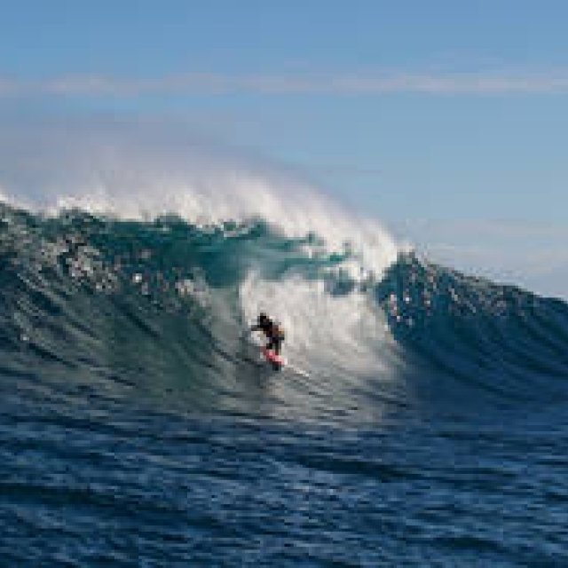 MOVIE｜サーフィンの歴史を変えた兄弟の姿を描く感動作『ドリフト』 ギャラリー