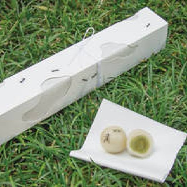 HIGASHIYA｜10周年記念コラボレーション「ひと口果子」発売 ギャラリー