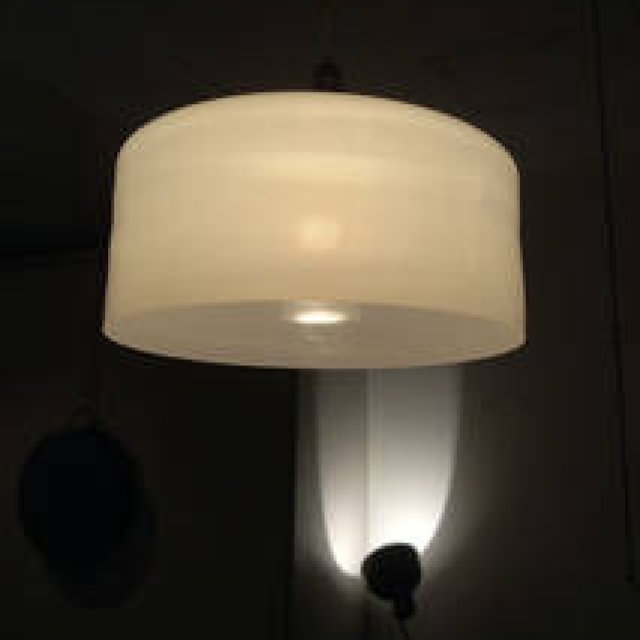 さる山｜辻野剛展