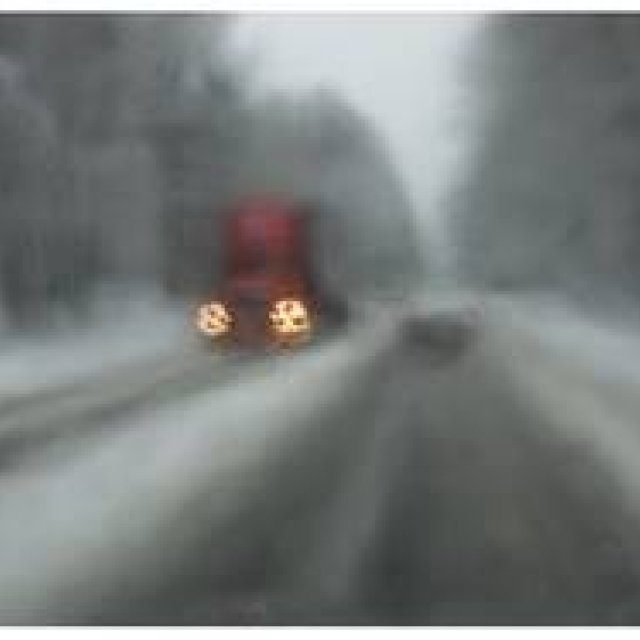 ART｜デイヴィッド・シルヴィアン写真展『abandon/hope』 ギャラリー