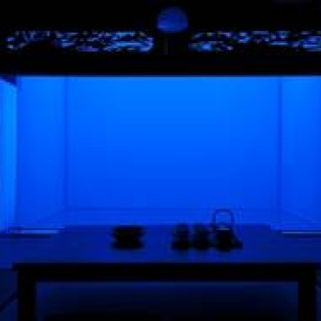 ART｜愛媛・宇和島を舞台にしたアートプロジェクト『AT ART UWAJIMA 2013』