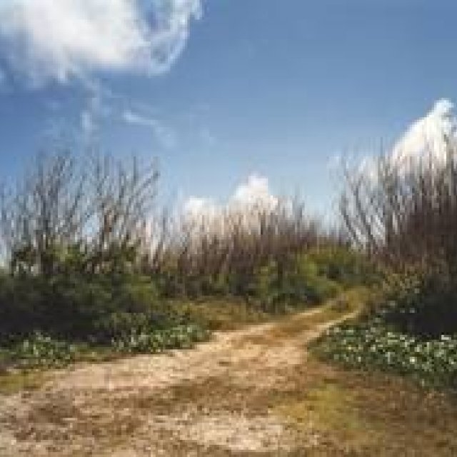 ART｜東京都写真美術館で『米田知子 暗なきところで逢えれば』展 ギャラリー