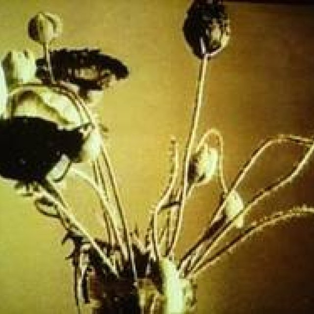 ART｜金沢21世紀美術館で映像作家フィオナ・タンの作品を展示 ギャラリー