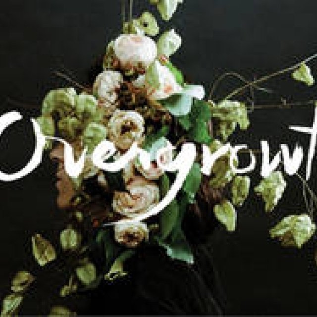 ART｜ポートランドを拠点にするフラワーアーティストと写真家がコラボ ギャラリー