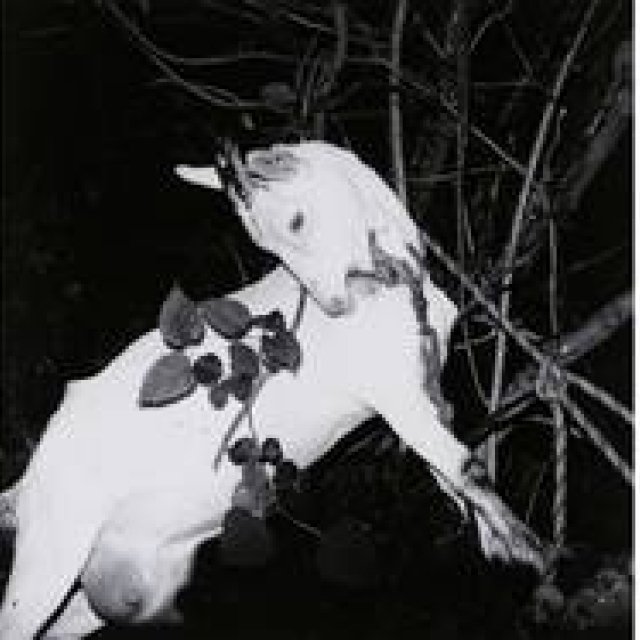 ART｜須田一政写真展『凪の片』を東京都写真美術館で開催