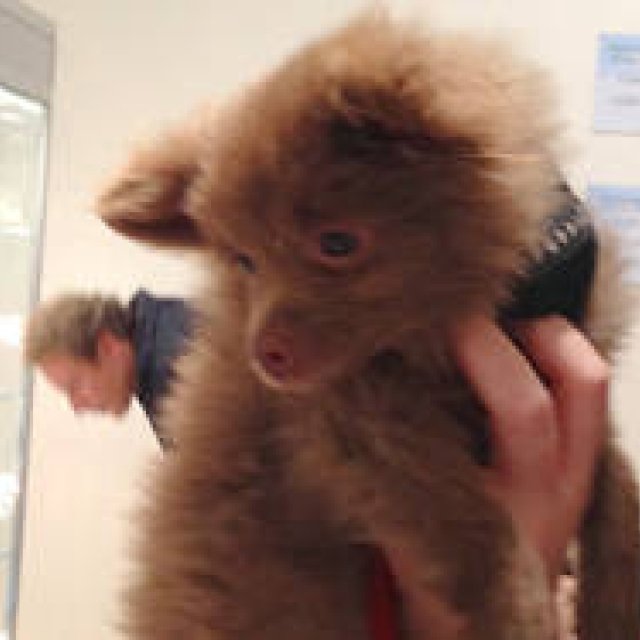 NOOKA｜マシュー・ワォルドマン Vol.34 「アートブックフェアに行ってきた！」 ギャラリー