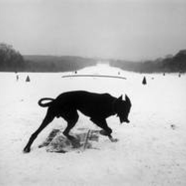 ART｜東京国立近代美術館で『ジョセフ・クーデルカ展』 ギャラリー