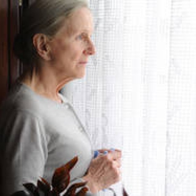 MOVIE｜“終活”と真摯に向き合う究極の物語『母の身終い』 ギャラリー