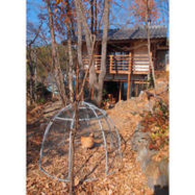 特集｜「パーマカルチャーデザイン」を暮らしのなかに ギャラリー