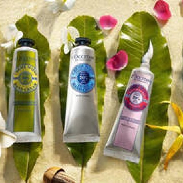 L'OCCITANE｜ロクシタン - BRAND TOP