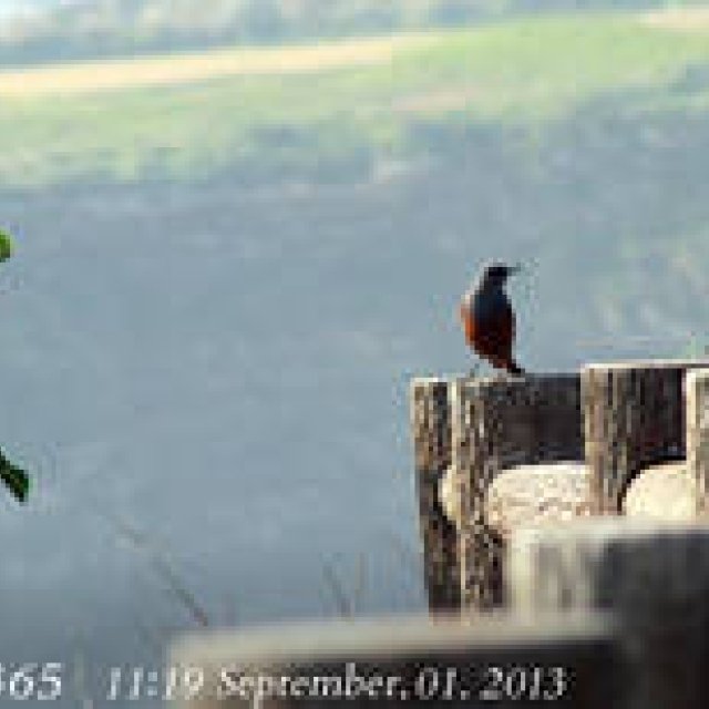  MIYAKOJIMA365｜September 2013