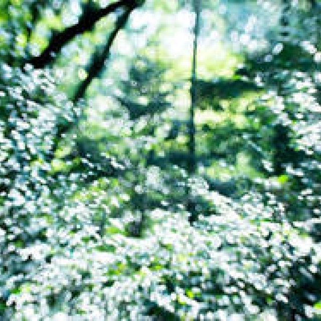 ART｜写真家、飯田信雄写真展「Foton -（光子）」開催 ギャラリー