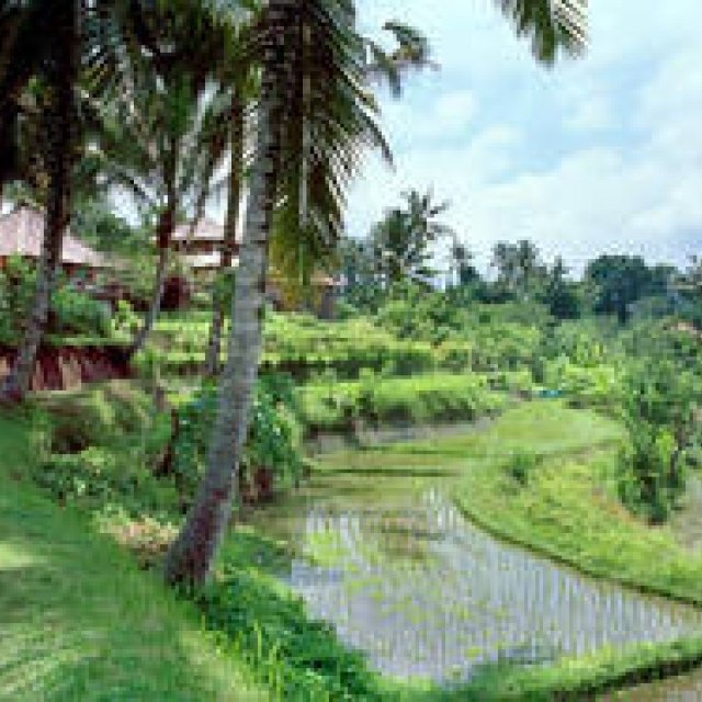 Amanresorts｜「アマンダリ（Amandari）」 ウブド・クデワタン村 ギャラリー