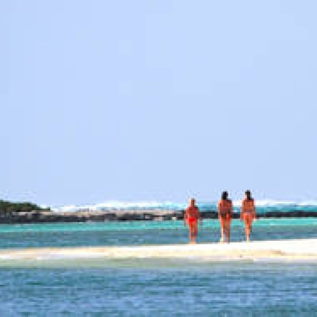 特集｜天国にもっとも近い島、モーリシャス ギャラリー