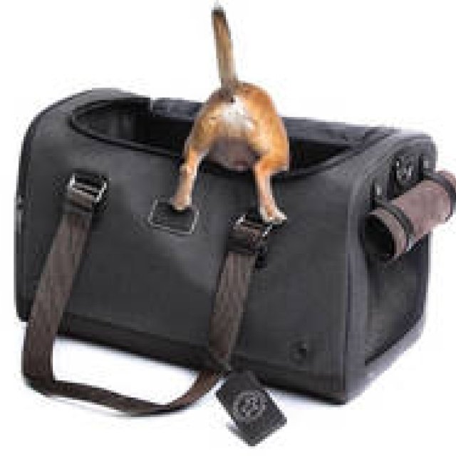 TUMI｜ペットと旅する「Cloud 7 for TUMI」デビュー ギャラリー