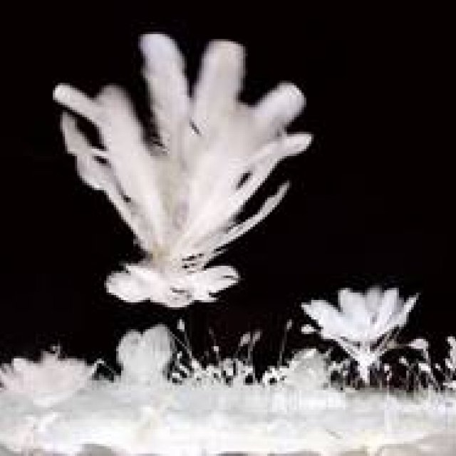 ART｜最先端のテクノロジーのショーケース「MEDIA AMBITION TOKYO 2014」 ギャラリー