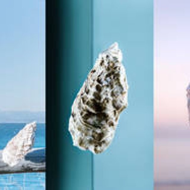 ART｜カキが主役の写真展!?『カキ展』 ギャラリー