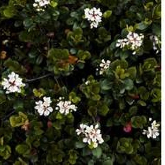 ART｜鈴木達哉写真展『Patterns in Discontinuity』 ギャラリー