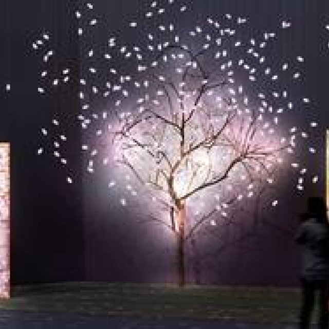 EVENT｜『江戸桜ルネッサンス＆夜桜うたげ』日本橋三井ホールで開催 ギャラリー