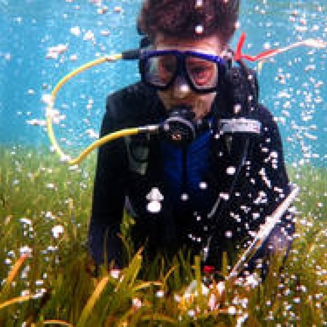 MOVIE｜「グリーンイメージ国際環境映像祭」開催！ ギャラリー