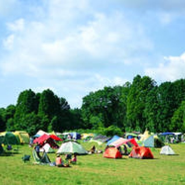 EVENT｜千葉県の広大な牧草地がキャンプ場に「一番星ヴィレッジ」 ギャラリー