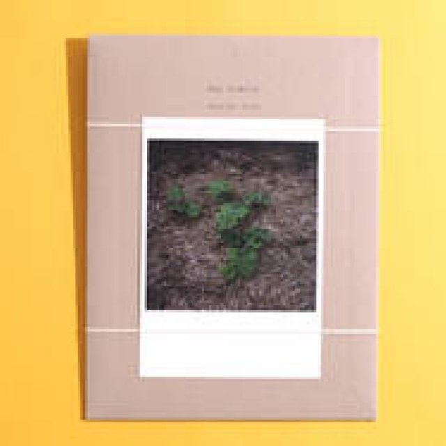 連載｜体感する読書～THE READING EXPERIENCE～｜第11回「名もなき花」 ギャラリー