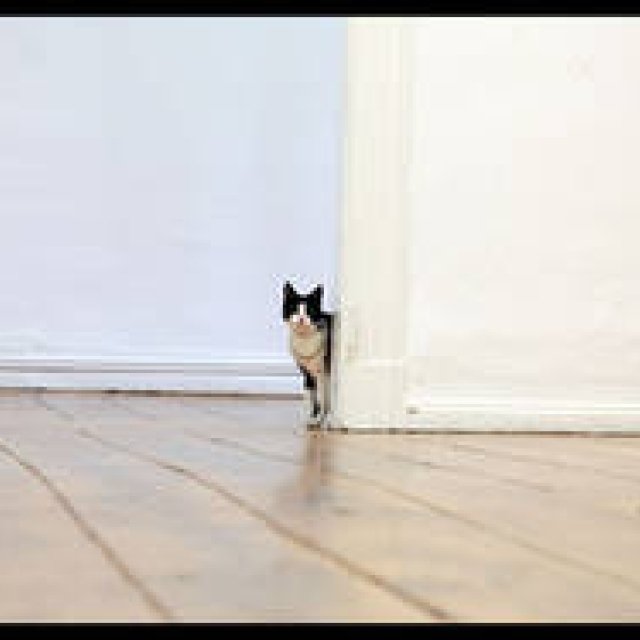 method｜モダンジュエリー「SCHMUCK2」の展覧会 開催 ギャラリー