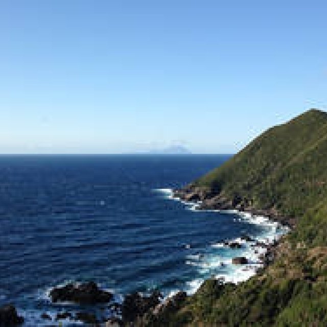 TRAVEL｜週末、縄文杉に会いに行く ギャラリー