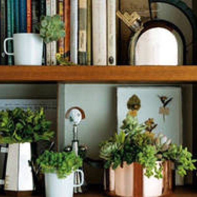 ALESSI｜伊勢丹新宿店にてアレッシィのポップアップイベント開催 ギャラリー