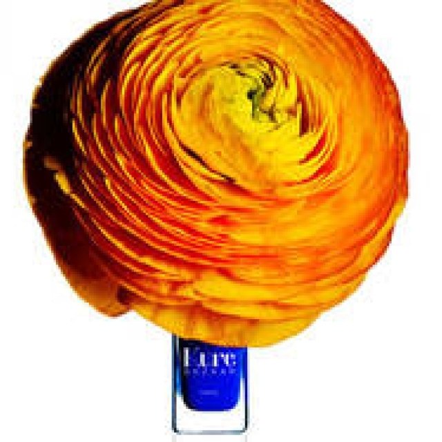 Kure BAZAAR｜夏の新色ネイルカラー＆ケア製品新発売 ギャラリー