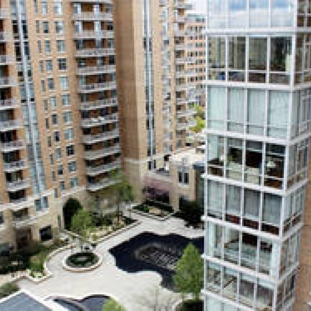 連載・Yoko Ueno Lewis｜暮らしノート・第15回 「レストン・ヴァージニアで考えたこと」（前編） ギャラリー