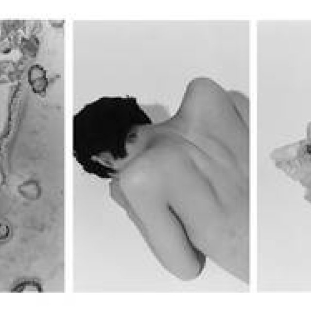 ART｜細倉真弓『Transparency is the new mystery』展をPOSTで開催 ギャラリー