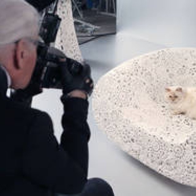 shu uemura｜「クリスマス コレクション」コラボアーティスト決定！ ギャラリー