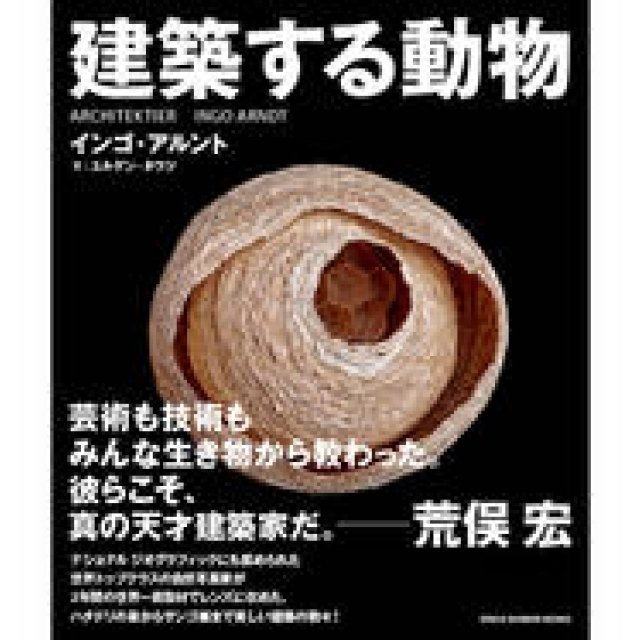 BOOK｜動物たちが築いた神秘的な形状の数々　写真集「建築する動物」