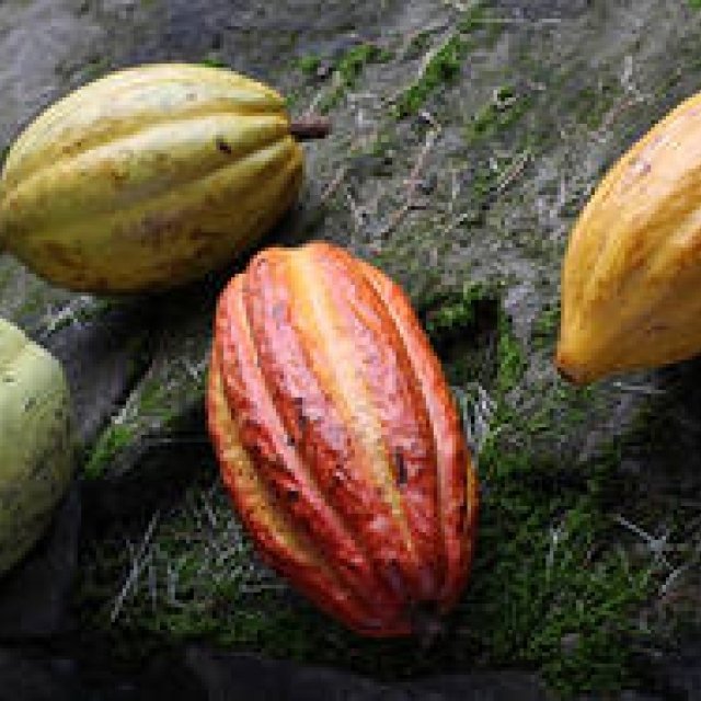 EAT｜ジャン＝ポール・エヴァンが提案する“夏の処方箋” ギャラリー